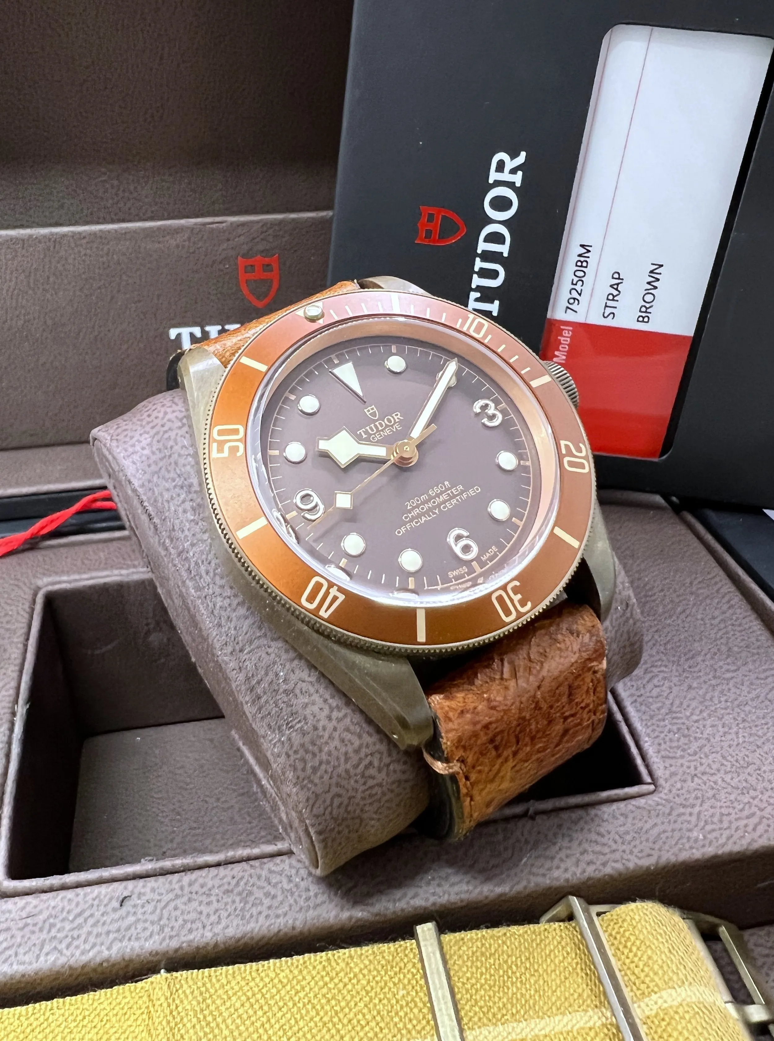 2016 Tudor Heritage Black Bay Bronze