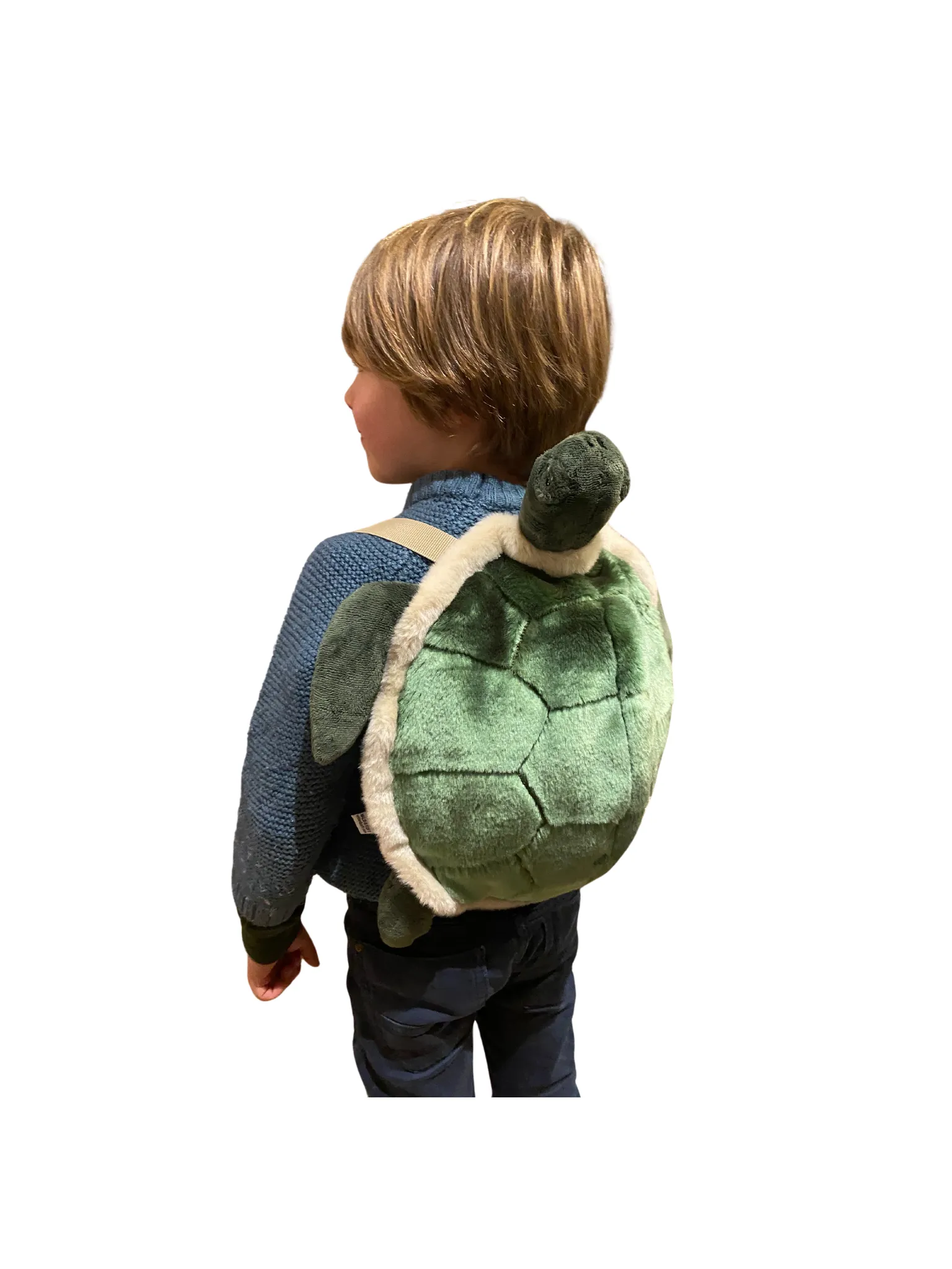 Backpack Turtle