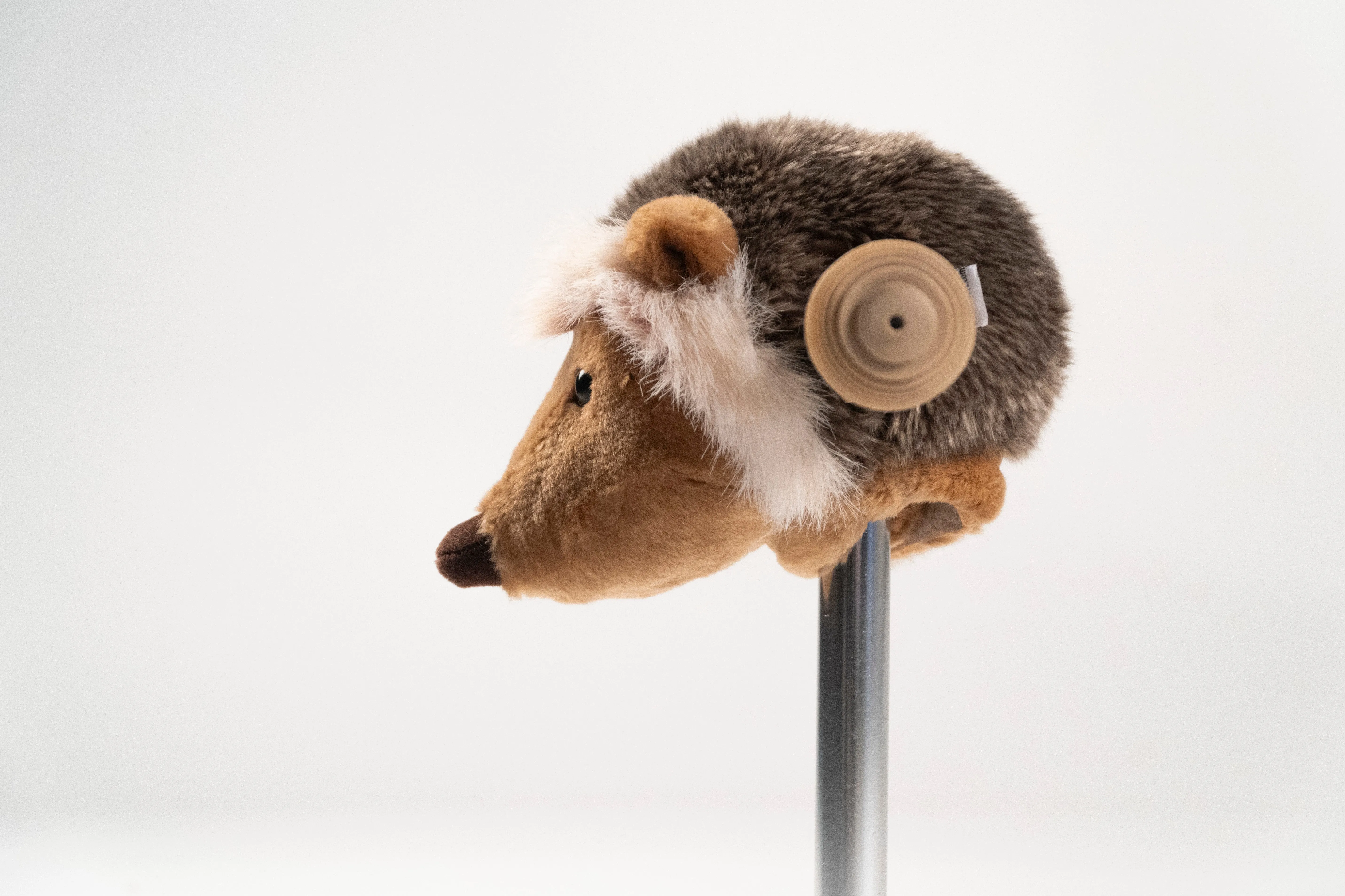 Hedgehog Scooter Head