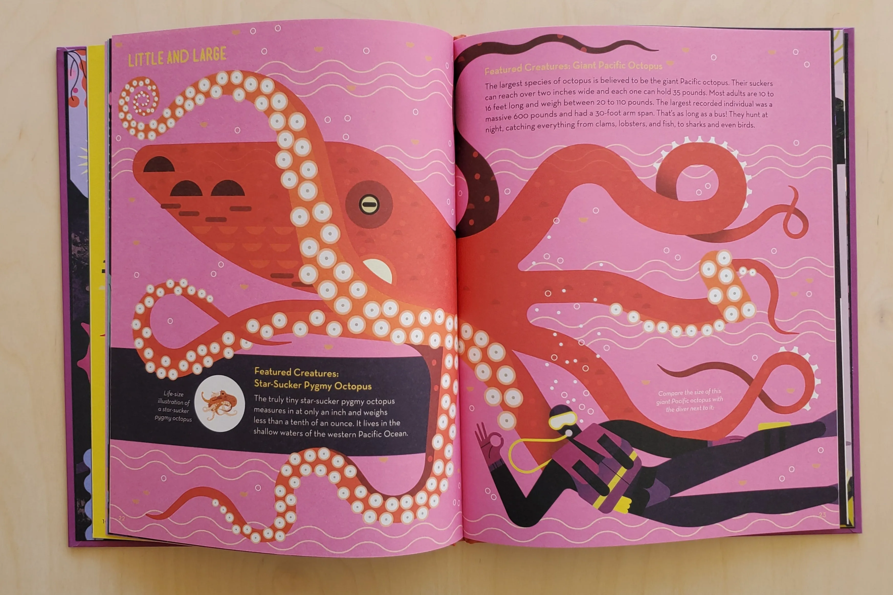 Obsessive About Octopuses