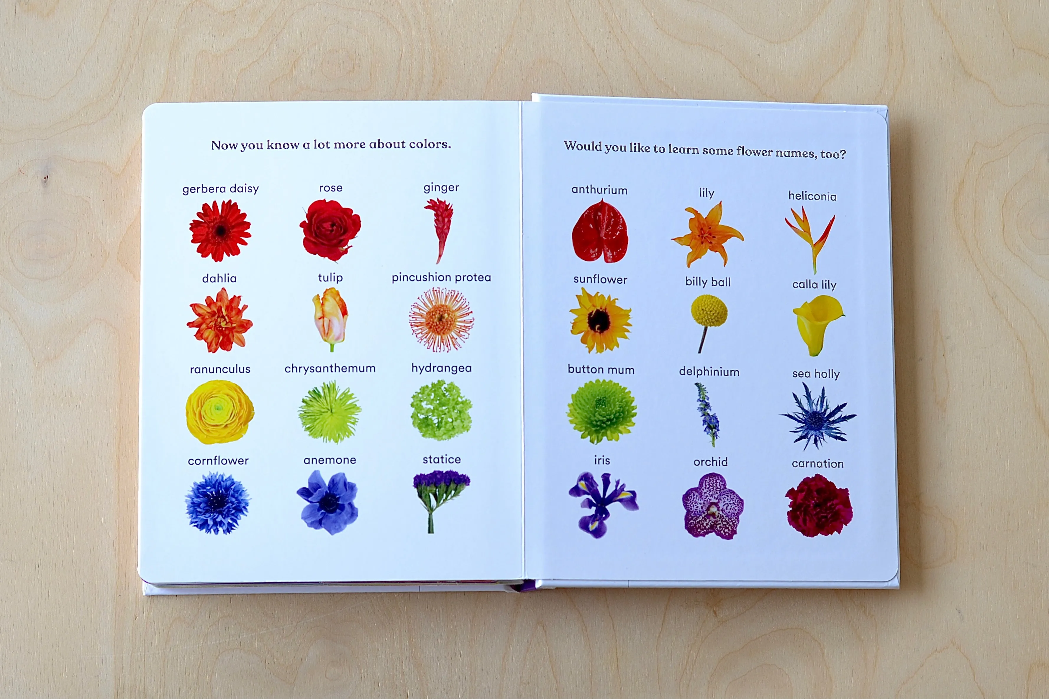 Rainbows In Bloom: Discovering Colors with Flowers